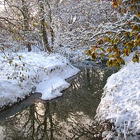 Buy canvas prints of Snow dream by Claire Gent