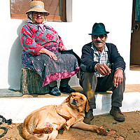 Buy canvas prints of Country Lifestyle by Tony Purbrook