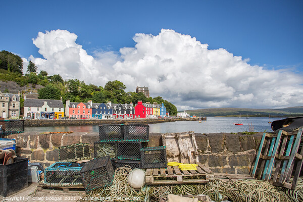 Tobermory Harbour View Picture Board by Craig Doogan