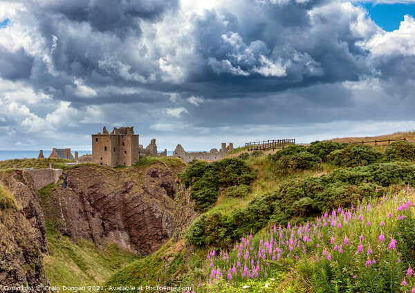 Dunnottar Castle - Scotland Picture Board by Craig Doogan
