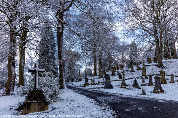 Balgay Cemetery Dundee Picture Board by Craig Doogan