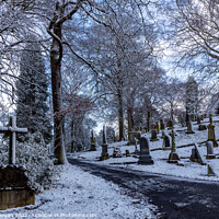 Buy canvas prints of Balgay Cemetery Dundee by Craig Doogan