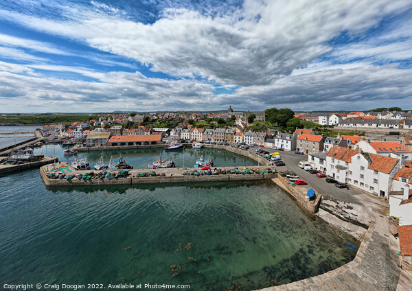 Pittenweem Harbour Picture Board by Craig Doogan