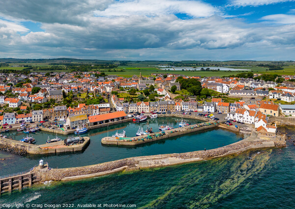Pittenweem Harbour Picture Board by Craig Doogan