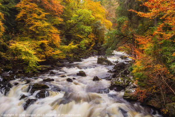 Autumn at the River Braan, Dunkeld Picture Board by Craig Doogan