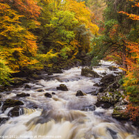 Buy canvas prints of Autumn at the River Braan, Dunkeld by Craig Doogan