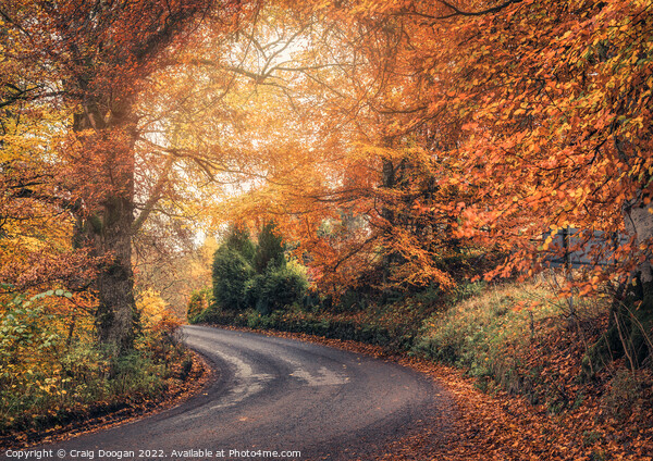 Autumnal Perthshire Picture Board by Craig Doogan