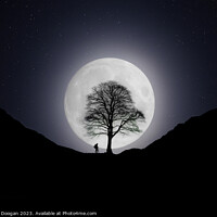 Buy canvas prints of Sycamore Gap Robin Hood Tree Moonscape by Craig Doogan