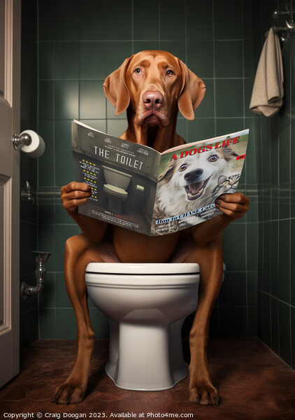 Vizsla Dog On The Toilet Picture Board Wall Art in Colour by Craig Doogan 1286520