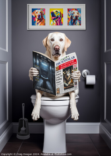 White Labrador on the Toilet Picture Board by Craig Doogan