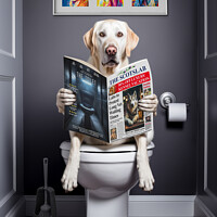 Buy canvas prints of White Labrador on the Toilet by Craig Doogan