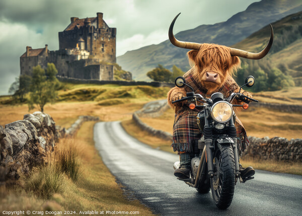 Highland Cow Road Trip Picture Board by Craig Doogan