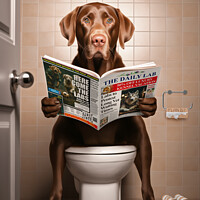 Buy canvas prints of Chocolate Labrador on the Toilet by Craig Doogan