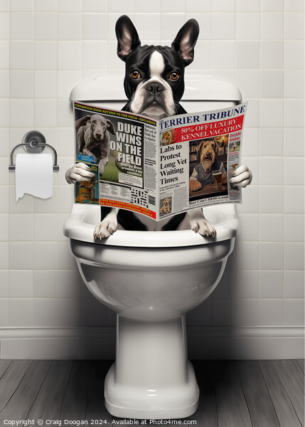 Boston Terrier on the Toilet Picture Board by Craig Doogan