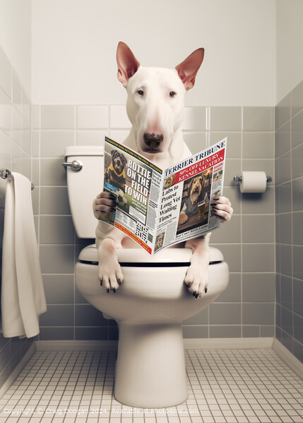 Bull Terrier on the Toilet Reading Newspaper Picture Board by Craig Doogan