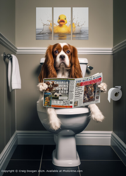 Cavalier King Charles Spaniel On the Toilet Picture Board by Craig Doogan