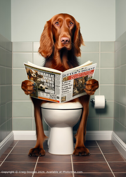 Irish Setter Reading Newspaper on the Toilet Picture Board by Craig Doogan