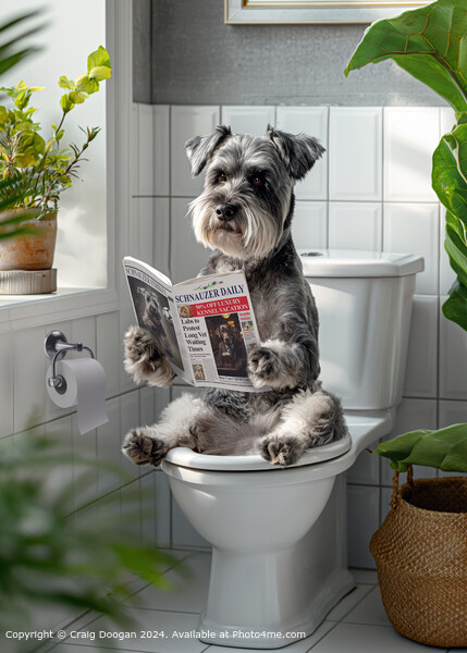 Schnauzer Dog Reading Newspaper no the Toilet Picture Board by Craig Doogan