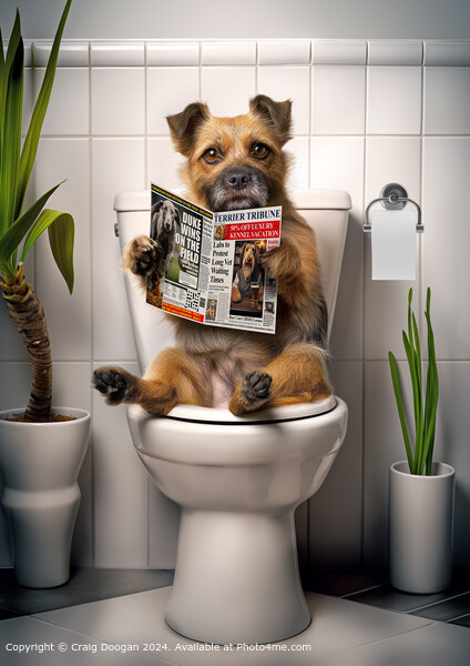 Border Terrier on the Toilet Picture Board by Craig Doogan