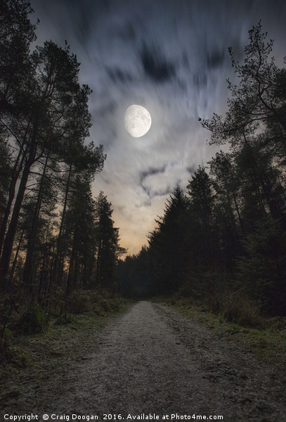 Dronley Forest Picture Board by Craig Doogan