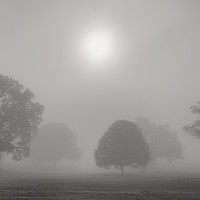 Buy canvas prints of The Fog by Craig Doogan