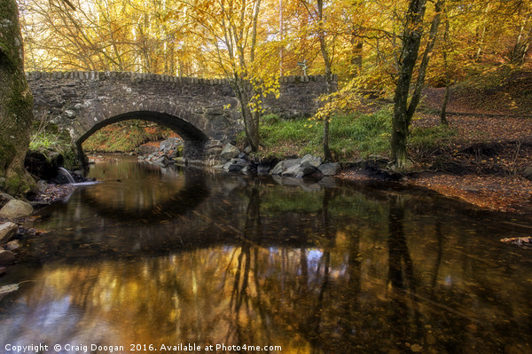 Autumn Bridge Scotland Picture Board by Craig Doogan
