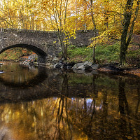Buy canvas prints of Autumn Bridge Scotland by Craig Doogan