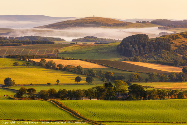 Kinpurney Hill & Monument Picture Board by Craig Doogan