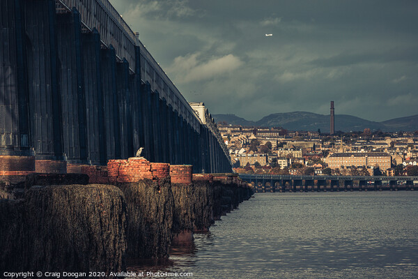 Heron on the Tay Picture Board by Craig Doogan