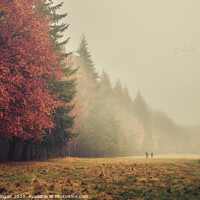 Buy canvas prints of Foggy Autumnal Walk by Craig Doogan