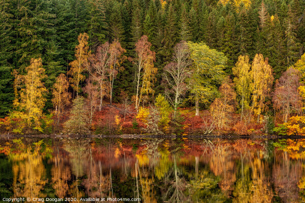 Loch Tummel autumn Reflections Picture Board by Craig Doogan