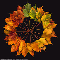 Buy canvas prints of Autumnal Circle by Craig Doogan