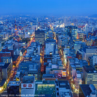 Buy canvas prints of Aerial view of Sapporo city downtown by Chon Kit Leong