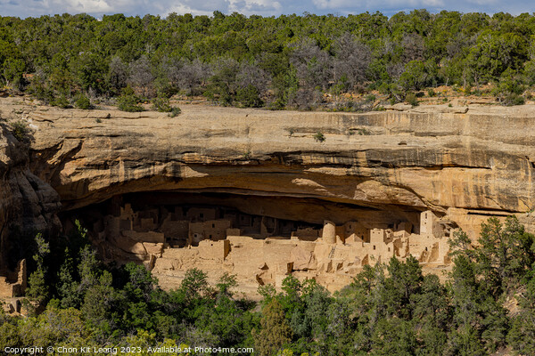 Sunny view of the historical Cliff Palace in Mesa Verde National Picture Board by Chon Kit Leong