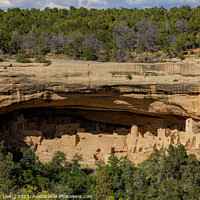 Buy canvas prints of Sunny view of the historical Cliff Palace in Mesa Verde National by Chon Kit Leong