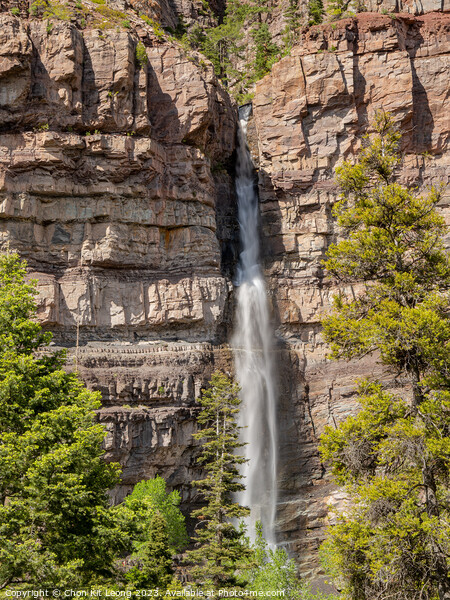 Sunny view of the Cascade Falls landscape in Ouray Picture Board by Chon Kit Leong
