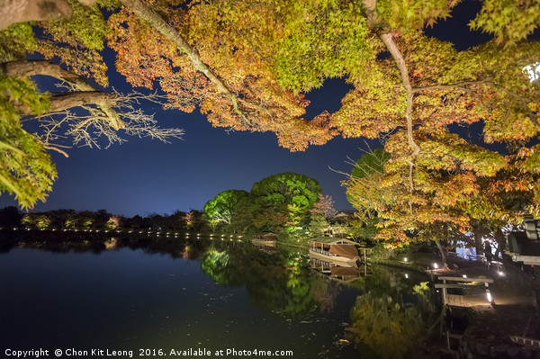 Superb view, fall color at Daikaku-ji Temple, Japa Picture Board by Chon Kit Leong