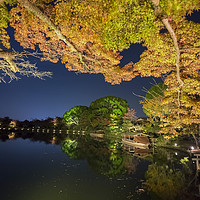 Buy canvas prints of Superb view, fall color at Daikaku-ji Temple, Japa by Chon Kit Leong