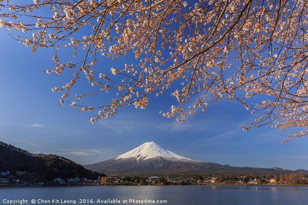 The sacred mountain - Mt. Fuji at Japan Picture Board by Chon Kit Leong