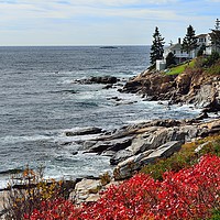 Buy canvas prints of "Rocky Maine Coast II" by Jerome Cosyn
