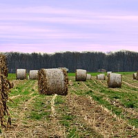 Buy canvas prints of "Hay Bales In Ohio" by Jerome Cosyn