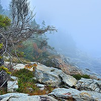 Buy canvas prints of "Foggy Coast II" by Jerome Cosyn