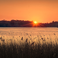 Buy canvas prints of Sunset at Virginia Water by Peter Walmsley