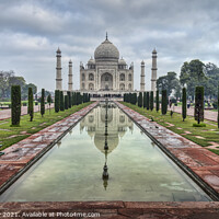 Buy canvas prints of The Taj Mahal by Peter Walmsley