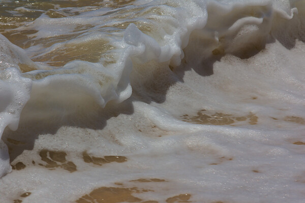 Sea Foam on a Breaking Wave Picture Board by Jeremy Hayden