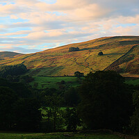 Buy canvas prints of Sunrise Hillside in the Yorkshire Dales by Jeremy Hayden