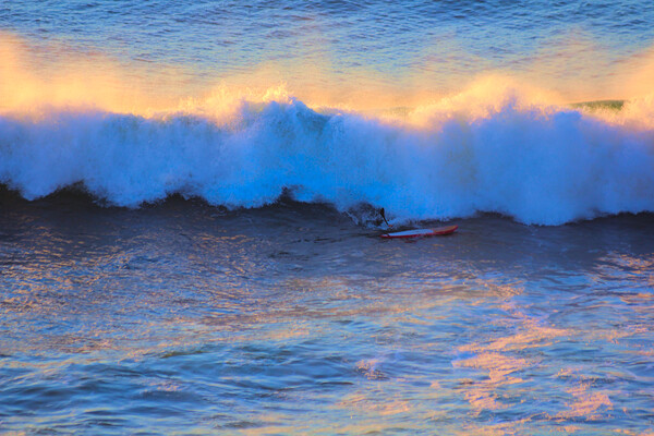 Breaking Wave Paddle Board Surfer Picture Board by Jeremy Hayden