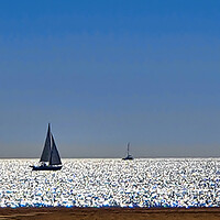 Buy canvas prints of Yacht at Sea in Alvor by Jeremy Hayden