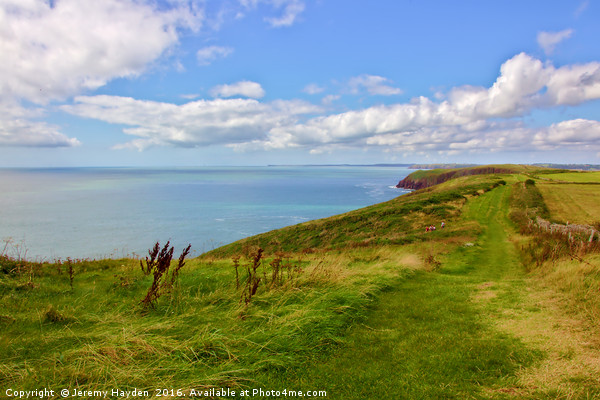 Edge of the World on Caldey Island Tenby Picture Board by Jeremy Hayden