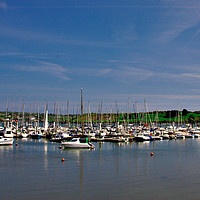 Buy canvas prints of Yachts in Kinsale Harbour by Jeremy Hayden